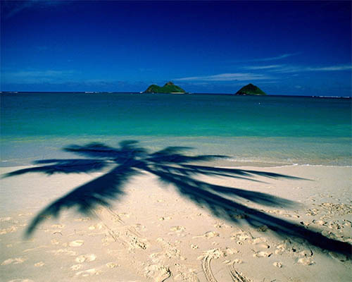 Best Time To Visit Phuket